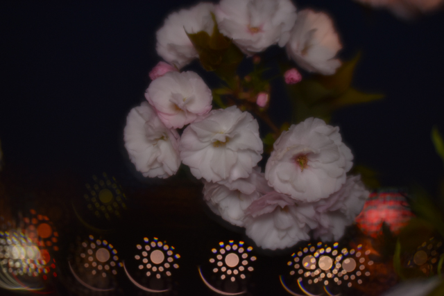 160423Daguerreotype_Achromat_Art Lens-17.jpg